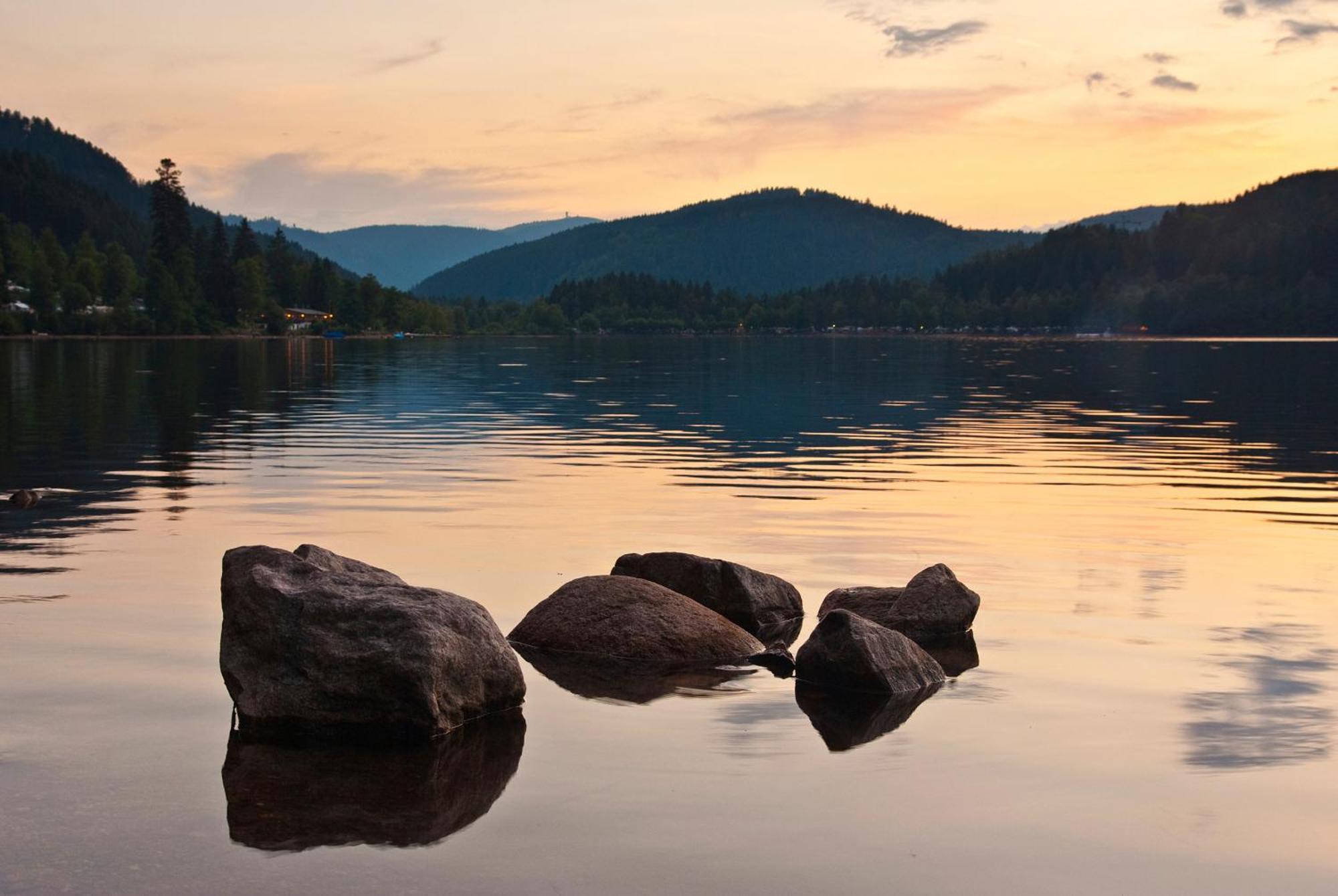 Drei Tannen - Wohnung 07 - Apartmenthaus, Titisee, Feldberg Eksteriør billede